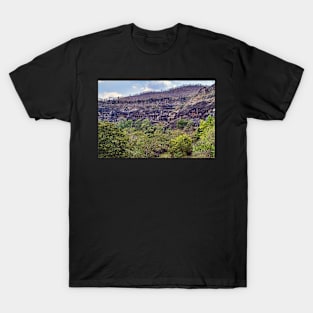 Ajanta Caves, India. T-Shirt